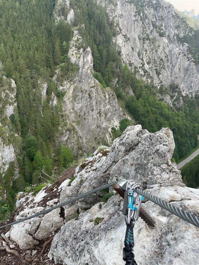 Berghaus Gesaeuse Pension Weng im Gesause Bagian luar foto