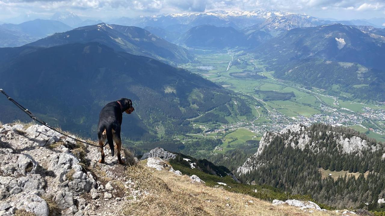 Berghaus Gesaeuse Pension Weng im Gesause Bagian luar foto